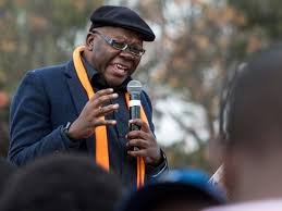 ‘Withdraw CAB3 Now’ Biti Launches Fresh Attack on Constitutional Changes