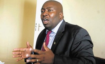 Engage war vets, retired generals, Mnangagwa told